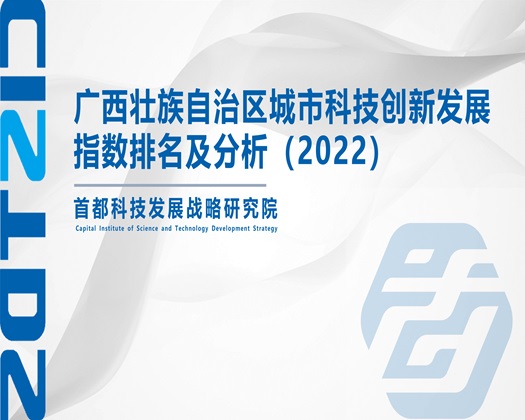 啊啊快操我的逼好舒服爽死了视频【成果发布】广西壮族自治区城市科技创新发展指数排名及分析（2022）